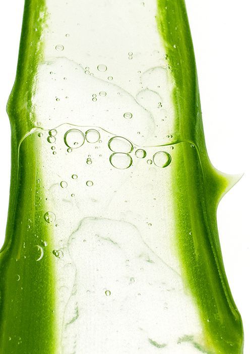 Aloe