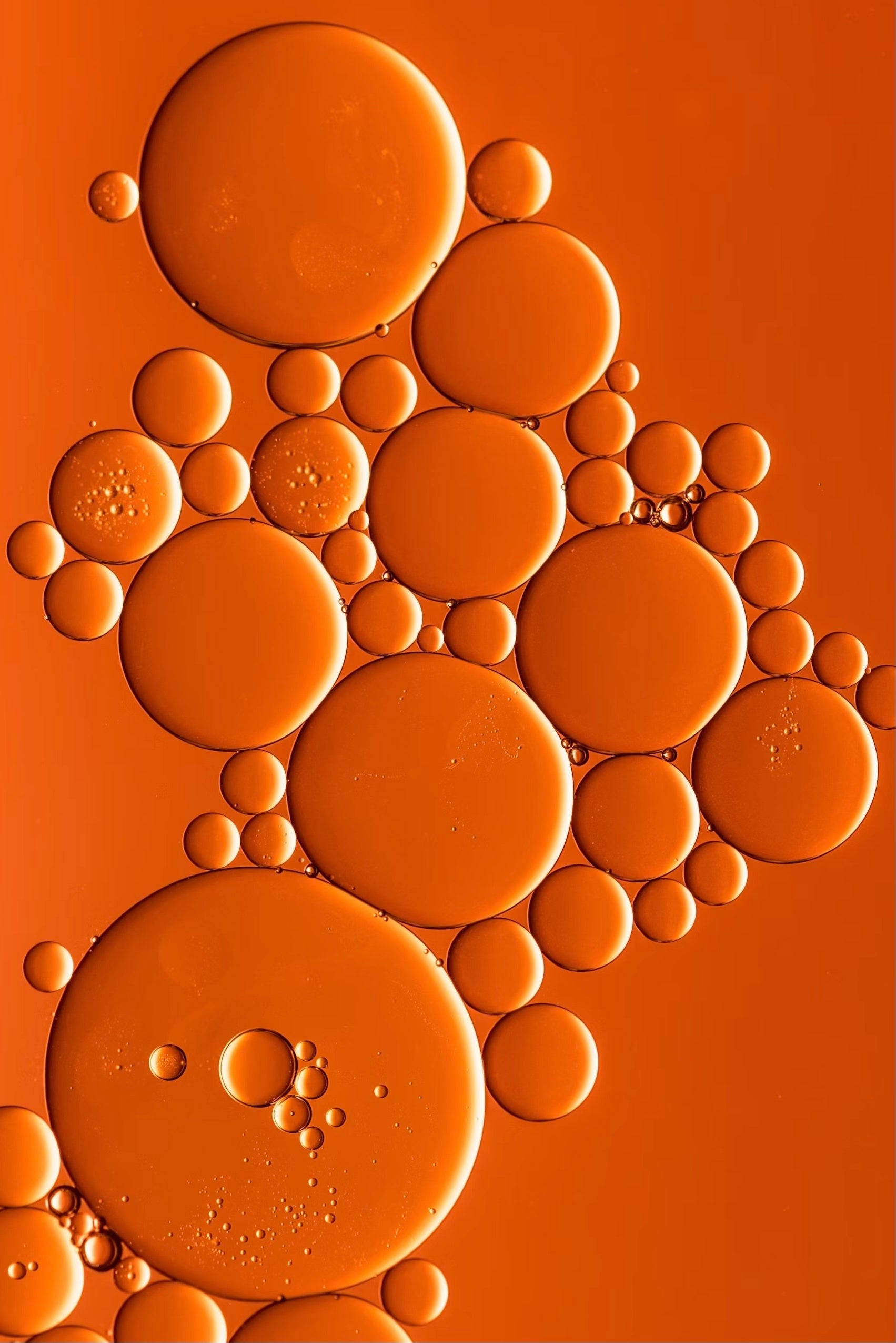 Sea Buckthorn